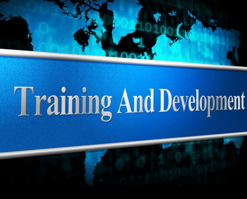 Training and development