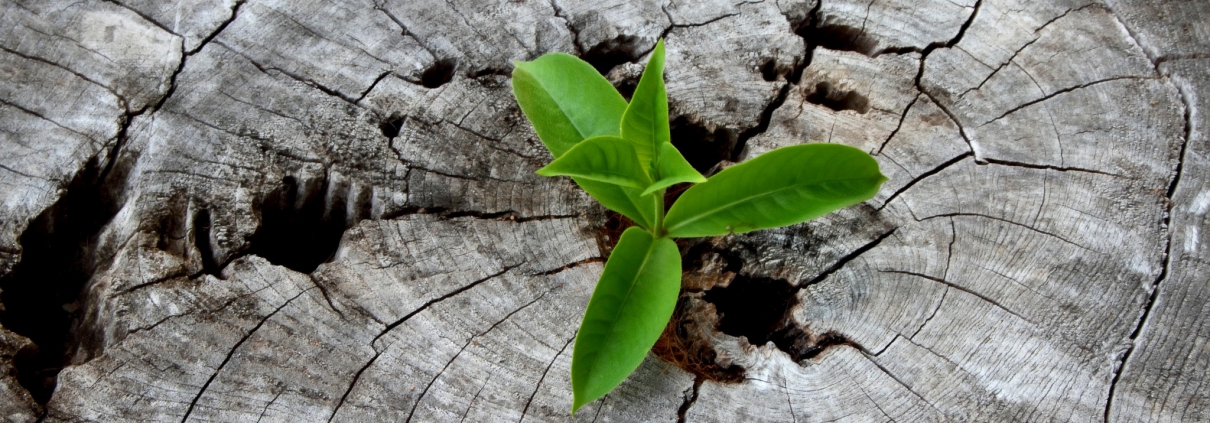 Gelukkig ouder worden