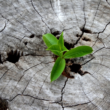 Gelukkig ouder worden
