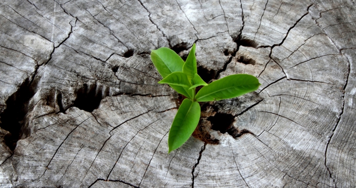 Gelukkig ouder worden