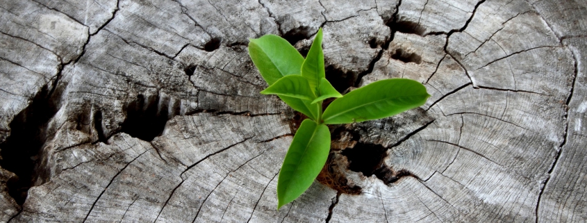 Gelukkig ouder worden