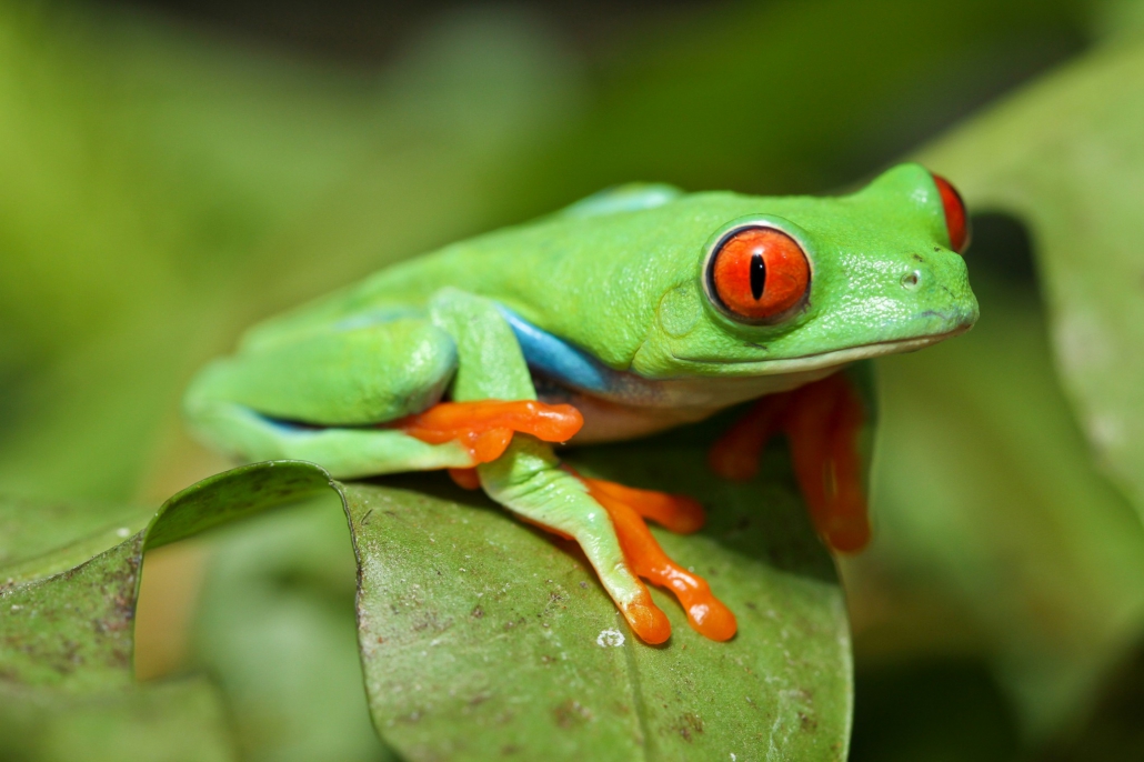 Welke kleur heeft u, toon uw ware gezicht
