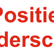 Positief Leiderschap positief leiderschap